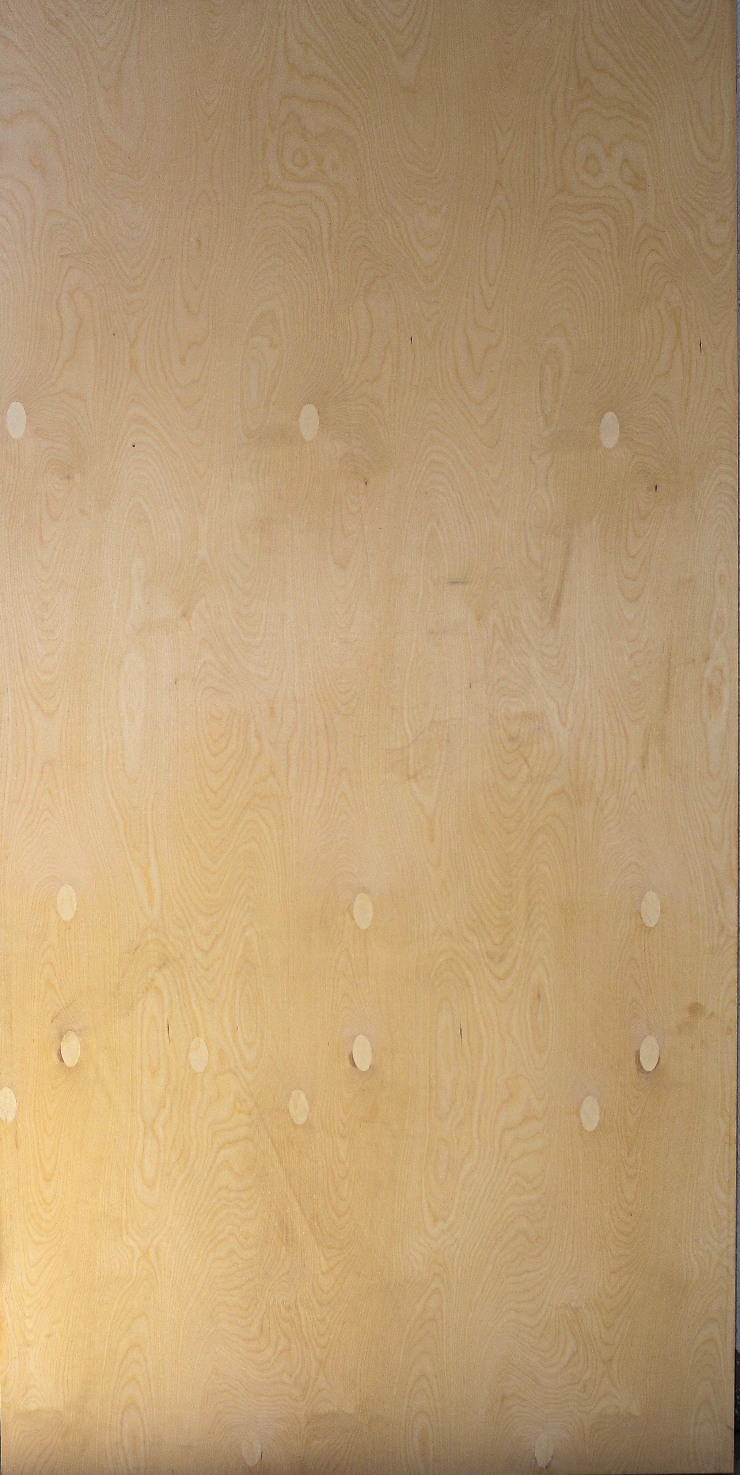 RUSSIAN BIRCH PLY